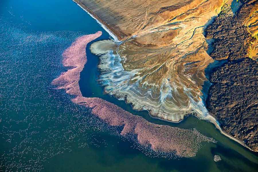 航拍摄影:洛吉皮湖的火烈鸟